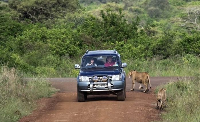 renting a car in nairobi